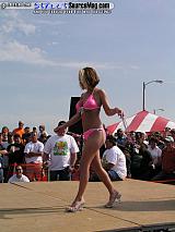 springfling Show Images Page 3